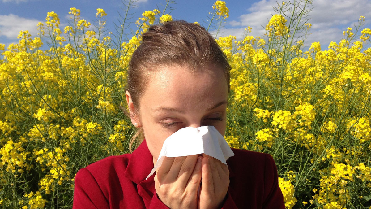 Al·lèrgia primaveral i conjuntivitis al·lèrgica