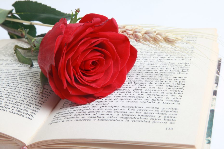 Gaudir la lectura cuidant els ulls