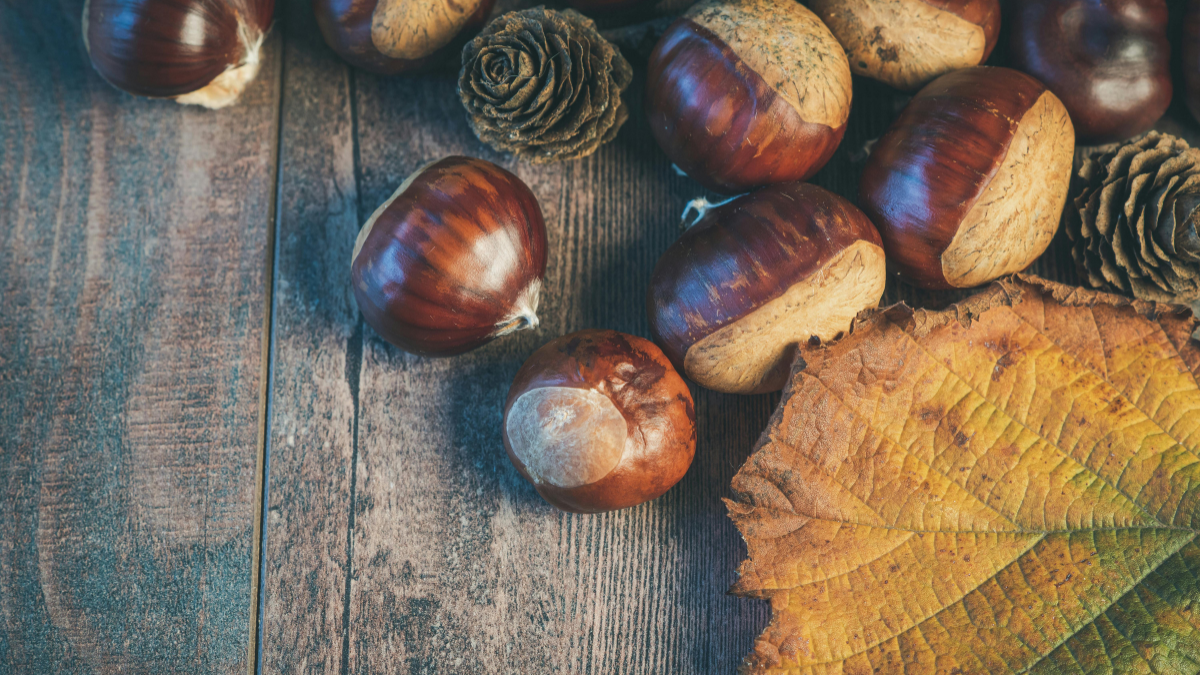 castanyada halloween